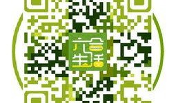 六合最新爆料,揭秘神秘事件背后的惊人真相